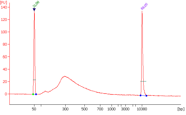 EpiNext cTIP (CUT&Tag In-Place)-Sequencing Kit