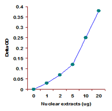 EpiQuik Histone Methyltransferase Activity/Inhibition Assay Kit (H3K27)