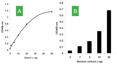 EpiQuik DNMT Activity/Inhibition Assay Ultra Kit (Colorimetric)