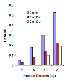 EpiQuik Dnmt1 Assay Kit