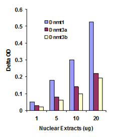 EpiQuik Dnmt3A Assay Kit