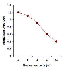 EpiQuik DNA Demethylase Activity/Inhibition Assay Kit