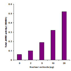 Epigenase JARID Demethylase Activity/Inhibition Assay Kit (Colorimetric)