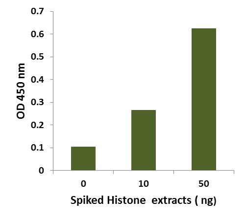 EpiQuik Circulating Histone H3 Citrullination ELISA Kit (Colorimetric)