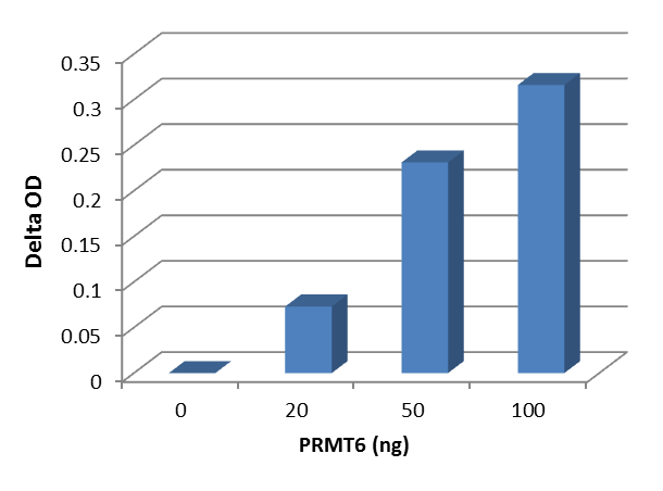 Epigenase Type I PRMT Methyltransferase Activity/Inhibition Assay Kit (Colorimetric)