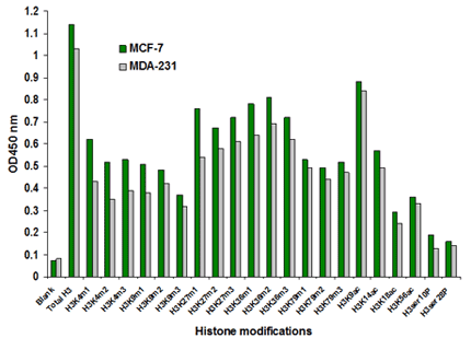 EpiQuik Histone H3 Modification Multiplex Assay Kit (Colorimetric)