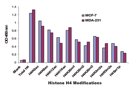 EpiQuik Histone H4 Modification Multiplex Assay Kit (Colorimetric)