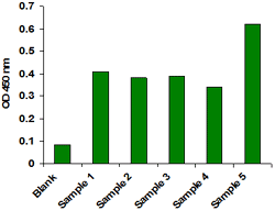 EpiQuik HDAC1 Assay Kit (Colorimetric)