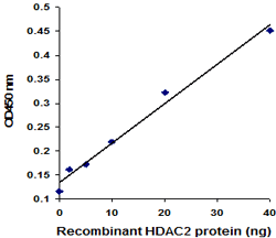 EpiQuik HDAC2 Assay Kit (Colorimetric)