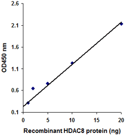 EpiQuik HDAC8 Assay Kit (Colorimetric)