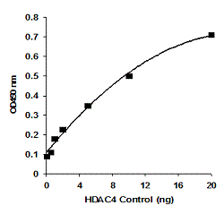 EpiQuik HDAC4 Assay Kit (Colorimetric)