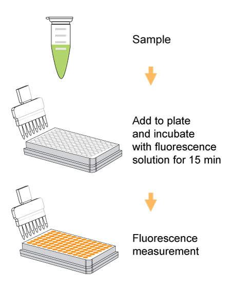 EpiQuik In-Situ and Ex-Situ Hydrogen Peroxide (H2O2) Assay Kit