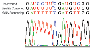 Methylamp RNA Bisulfite Conversion Kit