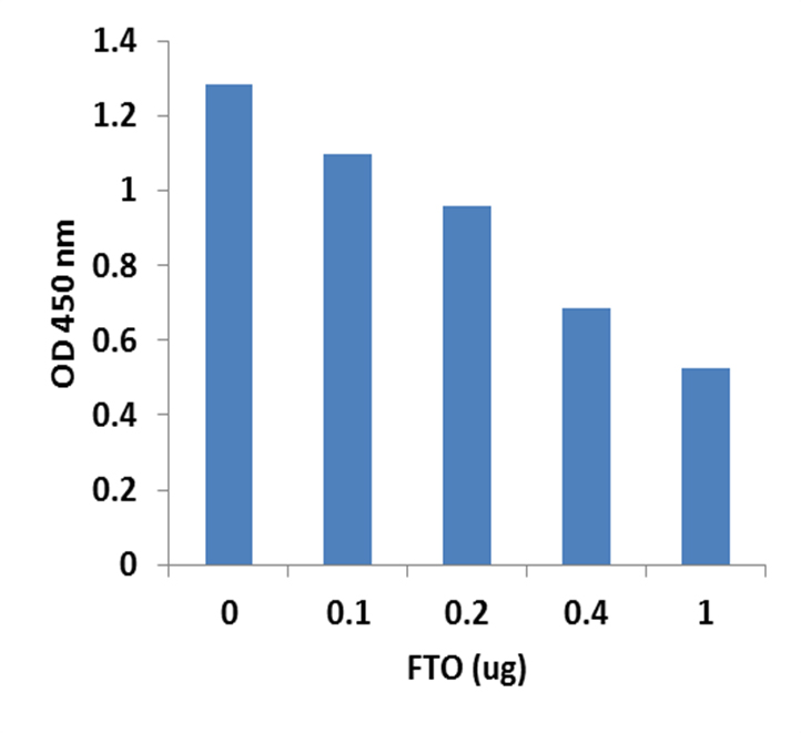 Epigenase m6A Demethylase Activity/Inhibition Assay Kit (Colorimetric)