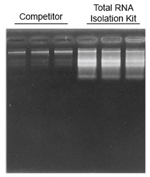 EpiQuik Total RNA Isolation Kit