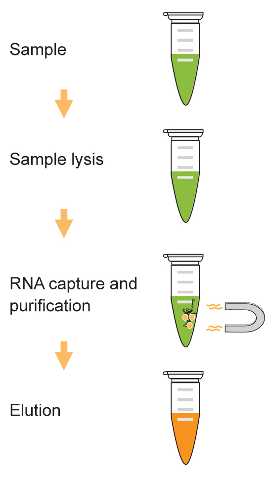 EpiMag Viral RNA Isolation Kit