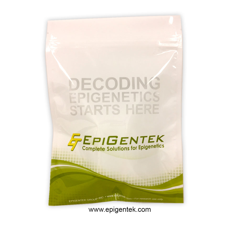 rgpA Polyclonal Antibody, FITC Conjugated