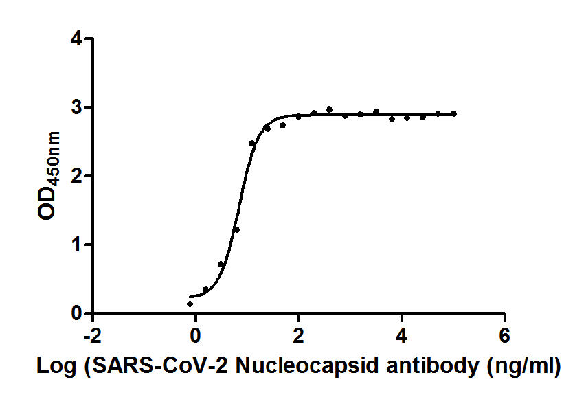 SARS-CoV-2 N Recombinant Antibody