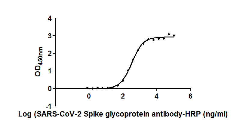 SARS-CoV-2 S Recombinant Monoclonal Antibody, HRP Conjugated (50 µl)