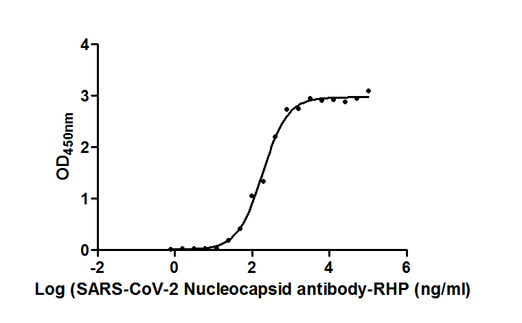 SARS-CoV-2 N Recombinant Monoclonal Antibody, HRP Conjugated (50 µl)