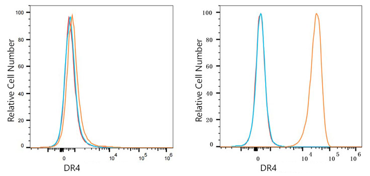 DR4 Monoclonal Antibody