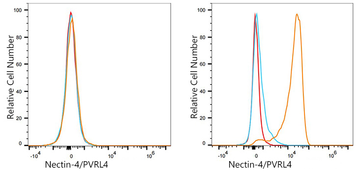 Nectin-4/PVRL4 Monoclonal Antibody [3M1B1]