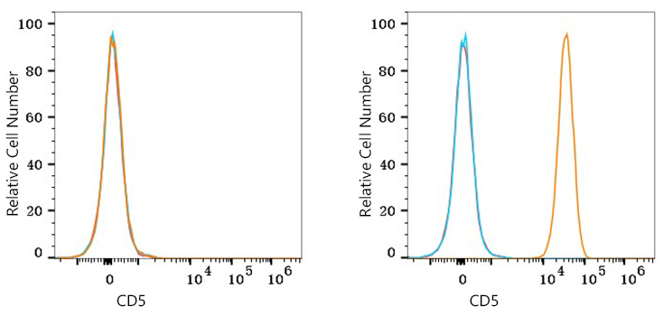 CD5 Monoclonal Antibody [9J5G2]
