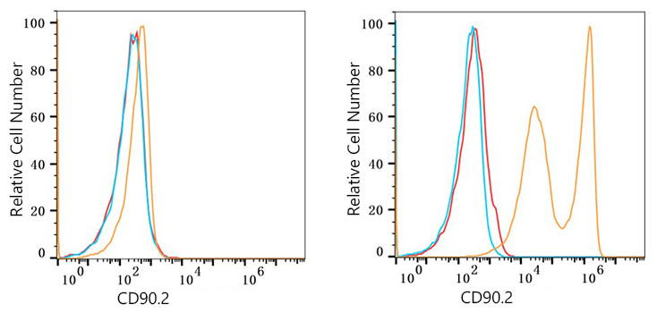 CD90.2 Monoclonal Antibody [6X4K2]