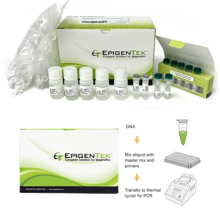 Bundle Kit
