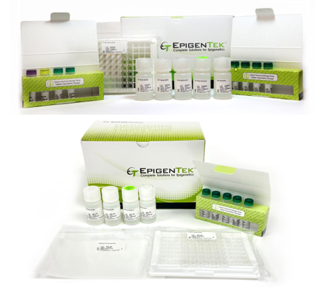 Bundle Kit