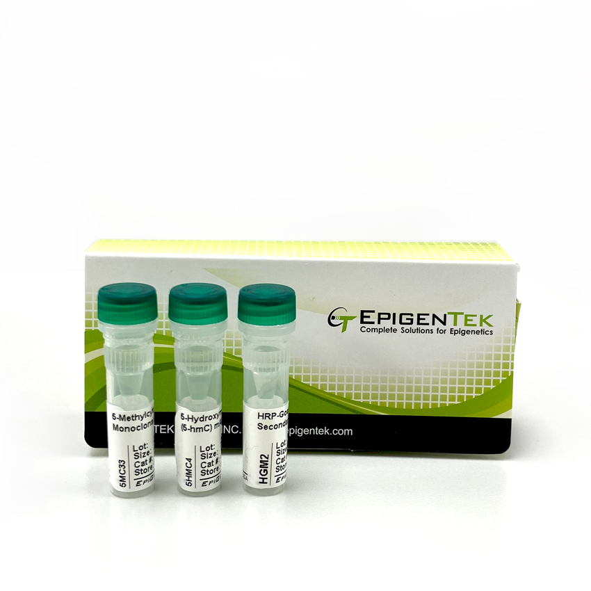 DNA Methylation Antibody Panel Pack I (2 x 25 µg)