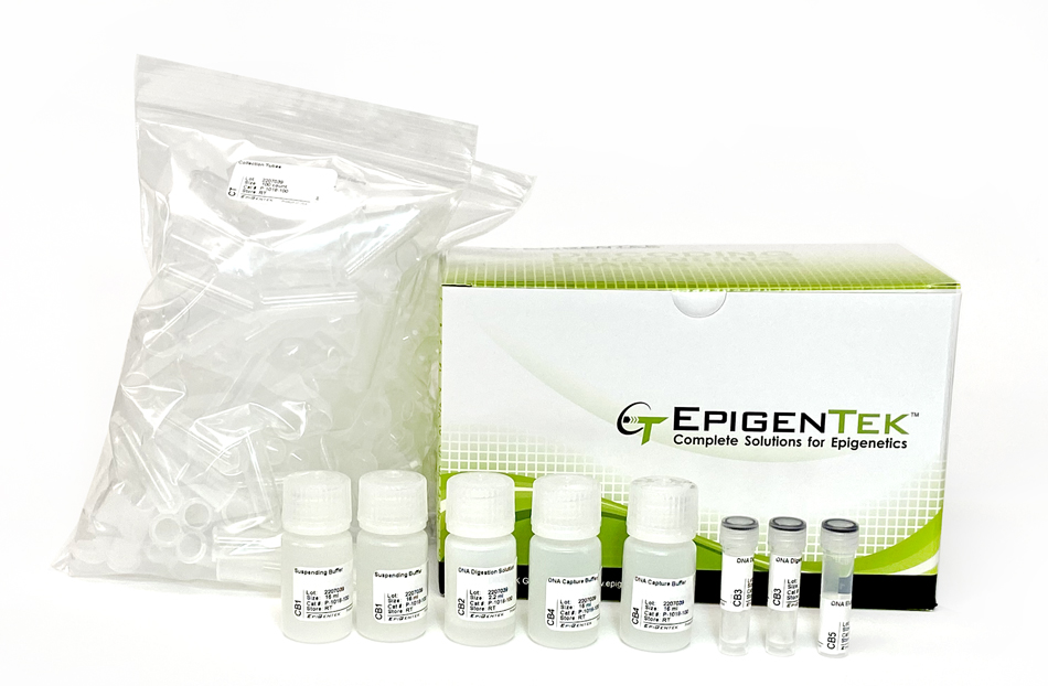 MFitAmp Blood and Cultured Cell DNA Extraction Kit