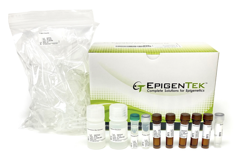 Global Methylation Quantitation