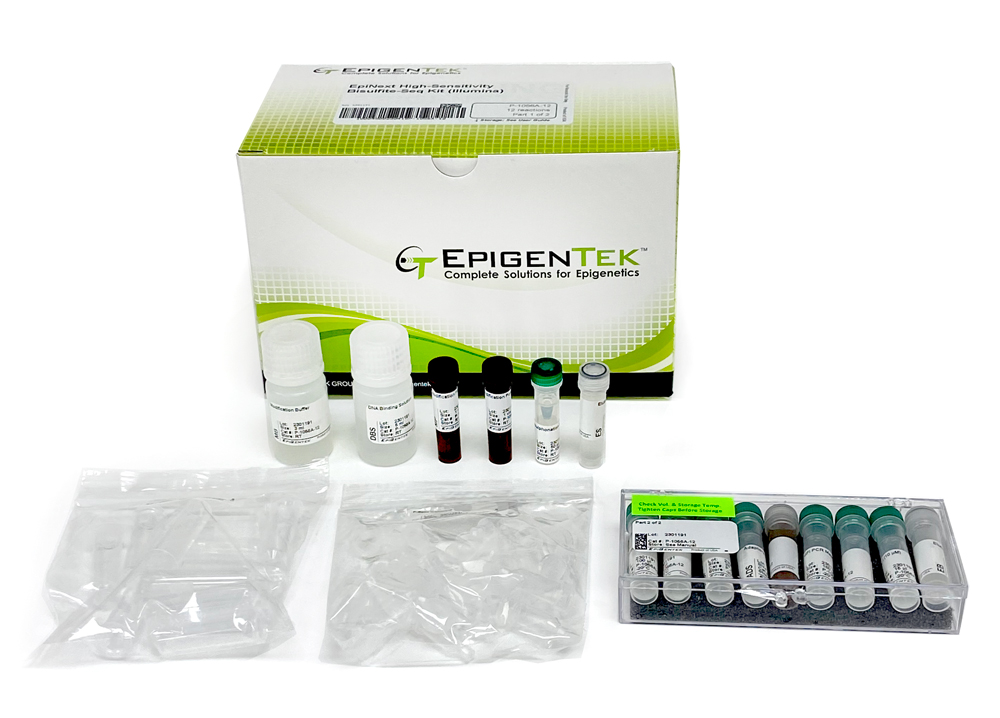 EpiNext High-Sensitivity Bisulfite-Seq Kit (Illumina) (24 reactions)