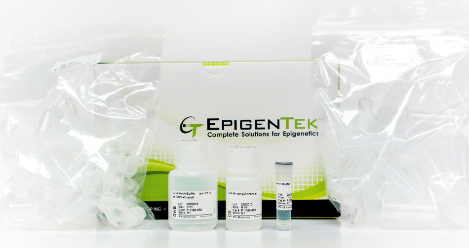 EpiQuik DNA Clean and Concentrator Kit (50 preparations)