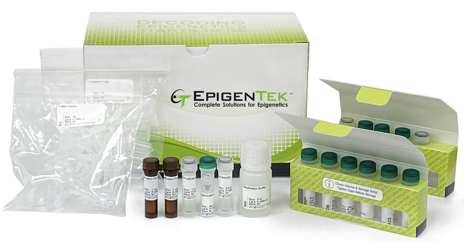 Global Methylation Quantitation