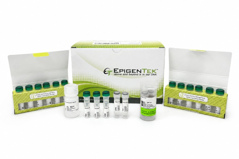 EpiNext In Situ Accessible Chromatin Sequencing (ISAC-seq) Kit