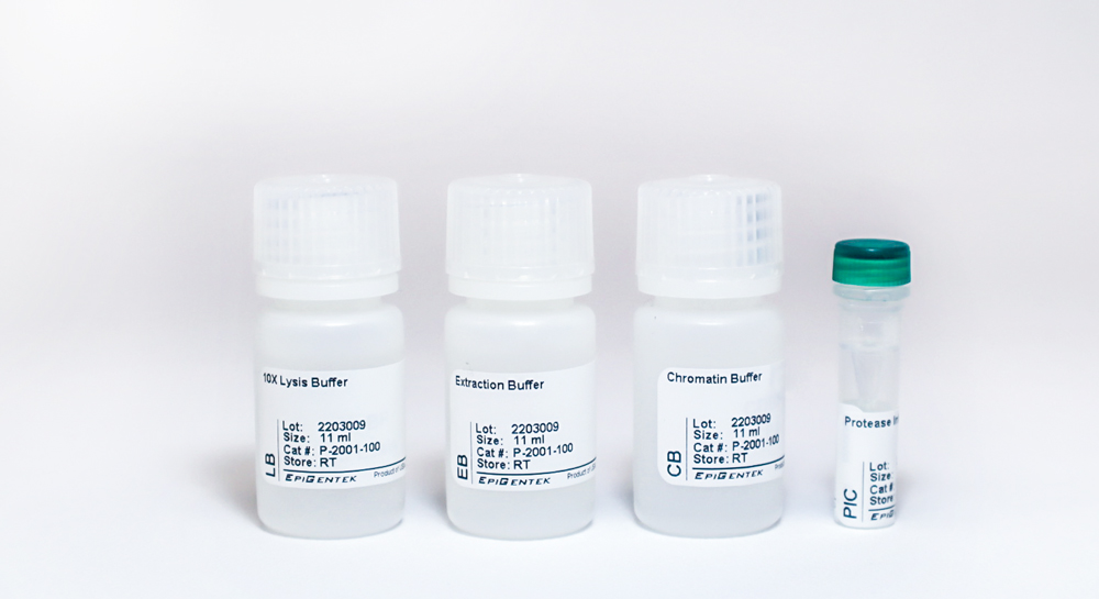 ChromaFlash Chromatin Extraction Kit (100 extractions)