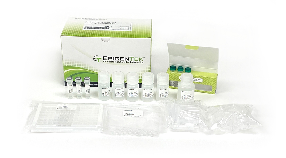 EpiQuik Methylated DNA Immunoprecipitation Kit (48 reactions)