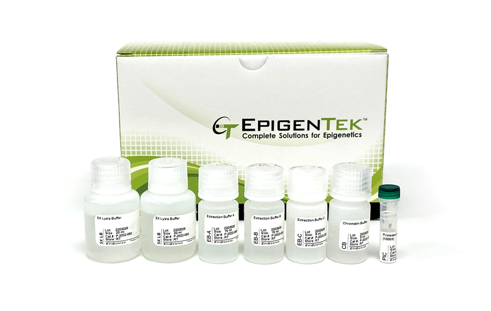 ChromaFlash Plant Chromatin Extraction Kit (50 extractions)