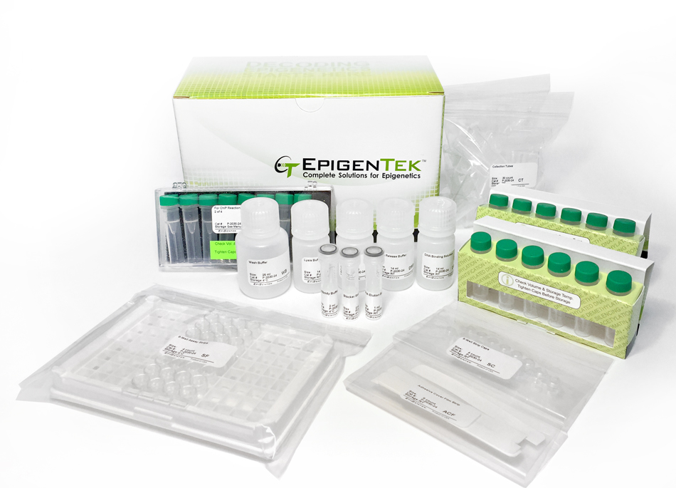 EpiNext ChIP-Seq High-Sensitivity Kit (Illumina) (24 reactions)
