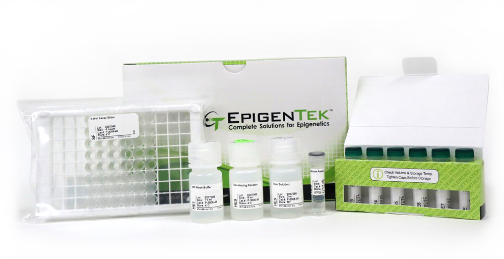 EpiQuik Histone Methyltransferase Activity/Inhibition Assay Kit (H3K27) (48 assays)