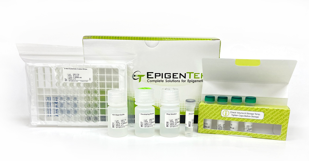 EpiQuik DNMT1 Activity/Inhibitor Screening Assay Core Kit (48 assays)