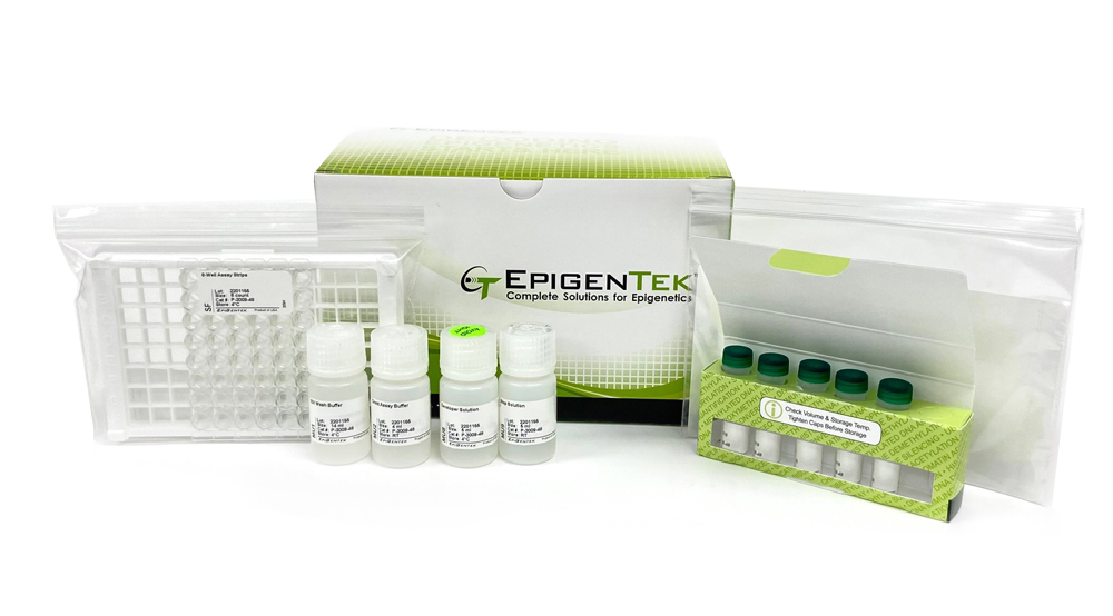 EpiQuik DNMT Activity/Inhibition Assay Ultra Kit (Colorimetric) (48 assays)