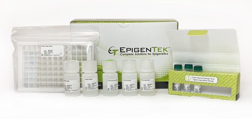 EpiQuik Dnmt1 Assay Kit (48 assays)