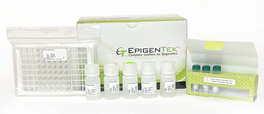 EpiQuik Dnmt3A Assay Kit (48 assays)