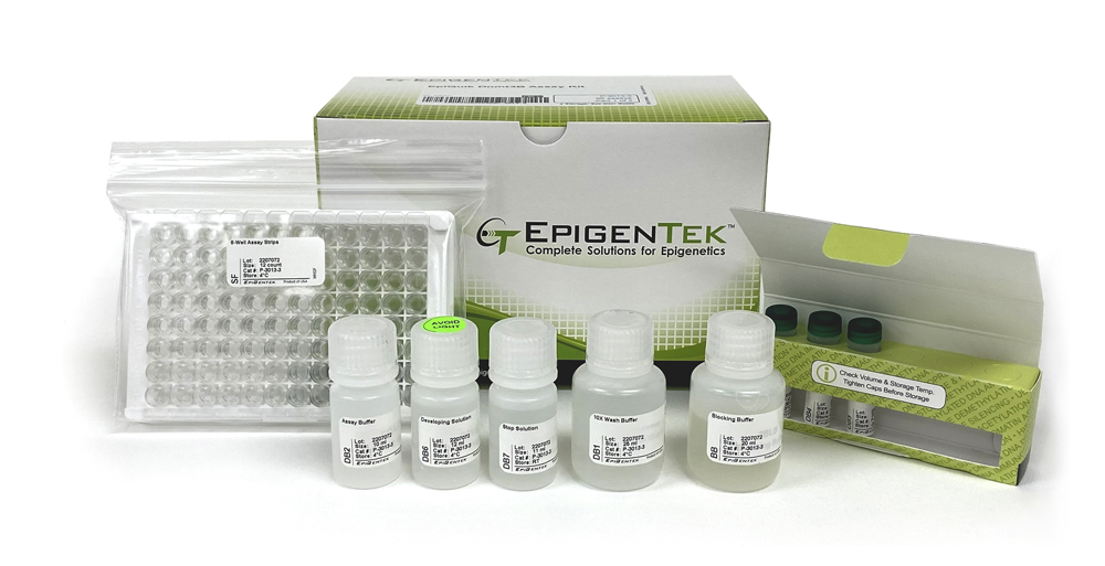 EpiQuik Dnmt3B Assay Kit (48 assays)