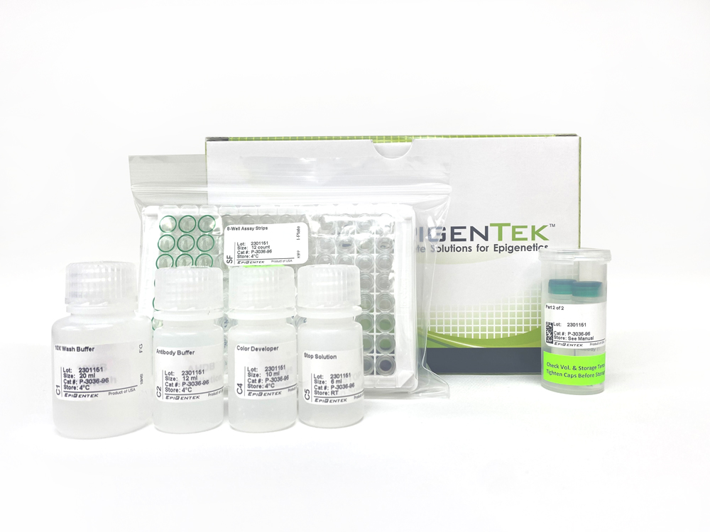 EpiQuik Global Pan-Methyl Histone H3K9 Quantification Kit (Colorimetric) (96 assays)