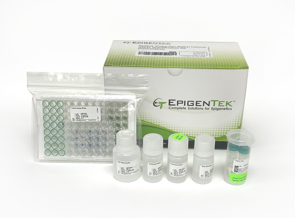 EpiQuik Global Pan-Methyl Histone H3K27 Quantification Kit (Colorimetric) (96 assays)