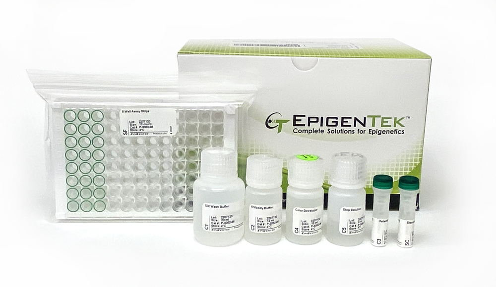 EpiQuik Total Histone H3 Quantification Kit (Colorimetric) (48 assays)